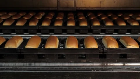 Baked white bread out of the oven in an industrial bakery factory Stock Footage 217948960