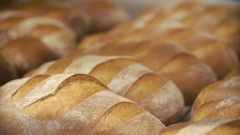Bakehouse. Rows of fresh bread loafs lyi... | Stock Video | Pond5