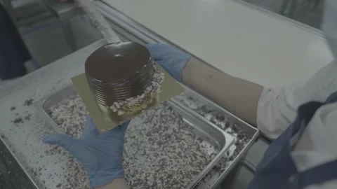 Baker applying chocolate sprinkles to glazed cakes Stock-Footage 327358167