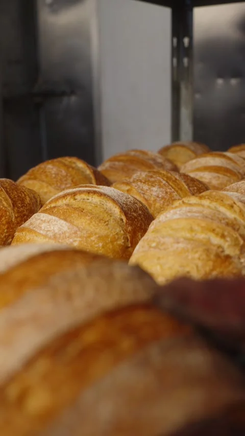 Baker Arranging Freshly Baked White Bread on a Bakery Rack Stock Footage 345494264