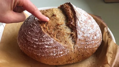 Baker checking the crust of fresh sourdough bread. Stock Footage 162732845