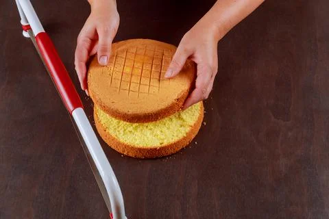 Baker cut the top of sponge cake with a serrated leveler cake. Stock Photos