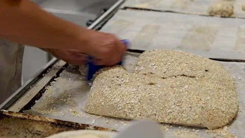 Baker Cutting Salted Oat Dough Into Loaves Video stock 340933259