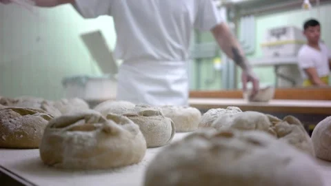 Baker finishing bread ready to be baked Stock Footage 249408667