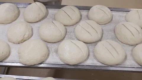 Baker hand cutting notches in bread dough, three rows on a worktable Stock Footage 284658576