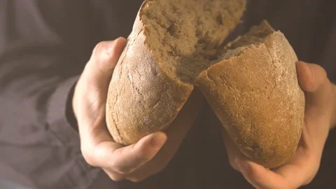 Baker hands breaking homemade bread. Close up view Stock Footage 86018341