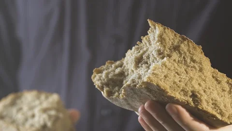 Baker hands breaking homemade bread and give you. Close up view Stock Footage 86020047