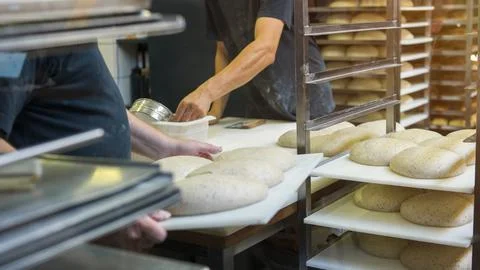 Baker hands kneading and forming the dough. Stock Photos