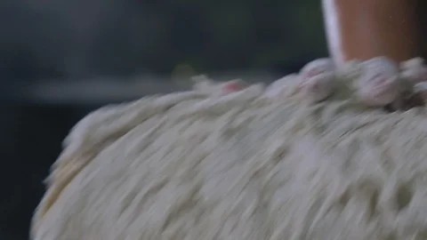 Baker Hands Kneading Dough  스톡 동영상 89576427