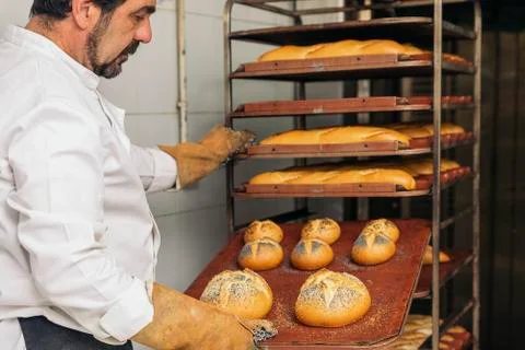 Baker kneading dough in a bakery. Stock Photos