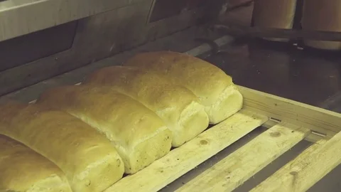 Baker lay out freshly baked bread loaf to tray HD video. Bakery production Stock Footage 74727960
