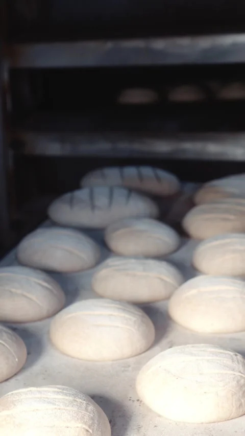 Baker loading scored bread dough into a wood-fired oven for baking Stock Footage 344312927