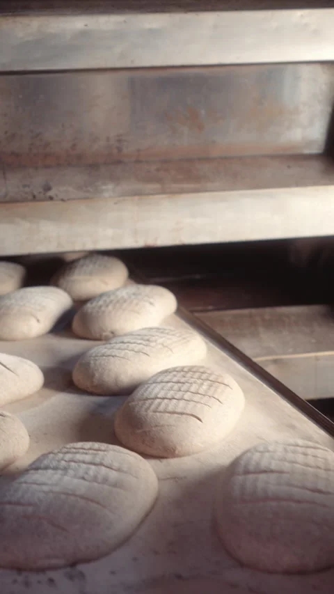 Baker loading a tray of scored bread dough into a wood-fired oven Stock Footage 344312928