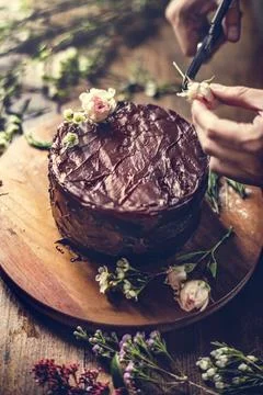 Baker Man Using Flowers Decorating Chocolate Cake Stock Photos