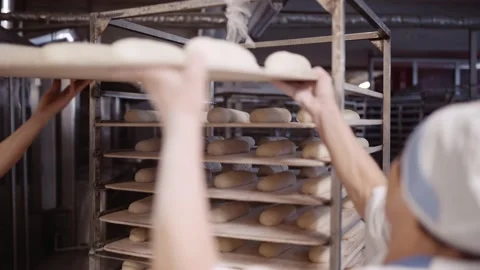 The baker prepares the bread dough to put in the oven at the bakery Video stock 143980571