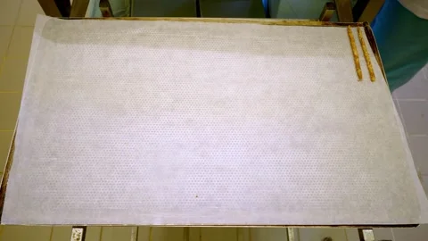 Baker Preparing Dough Strips On Baking Tray In Food Production Stock Footage 334132470