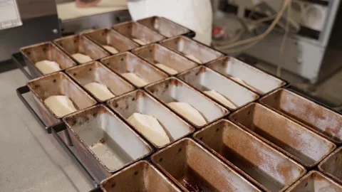 The baker puts the dough into the baking dish. Making bread. Dough in a bread Stock Footage 220873715