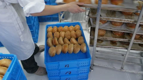 Baker Putting Hamburger Buns in Crate for Delivery Stock Footage 51344717