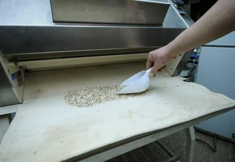 Baker s hand taking some chopped nuts for powdering rolls using scoop, bakery Stock Photos