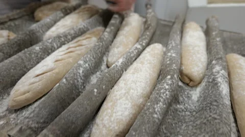 Baker scoring bread dough before baking Stock Footage 334564423