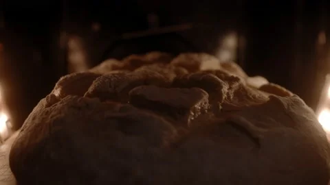 Baker sending bread to the oven. Making beautiful homemade country bread Stock Footage 168818824