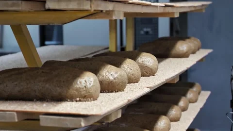 The baker shapes the dough into loaves of bread Stock Footage 245560158
