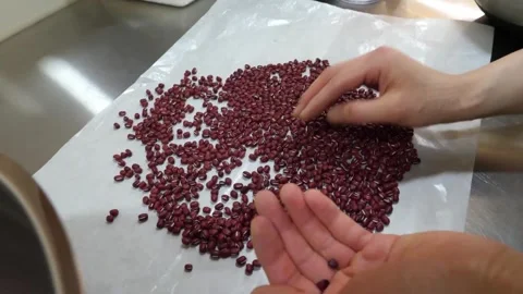 Baker Sorting Small Red Adzuki Beans by Hand on Parchment Paper Video stock 345292383