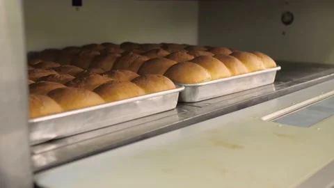Baker takes the freshly baked bread out of the oven Stock Footage 132088627