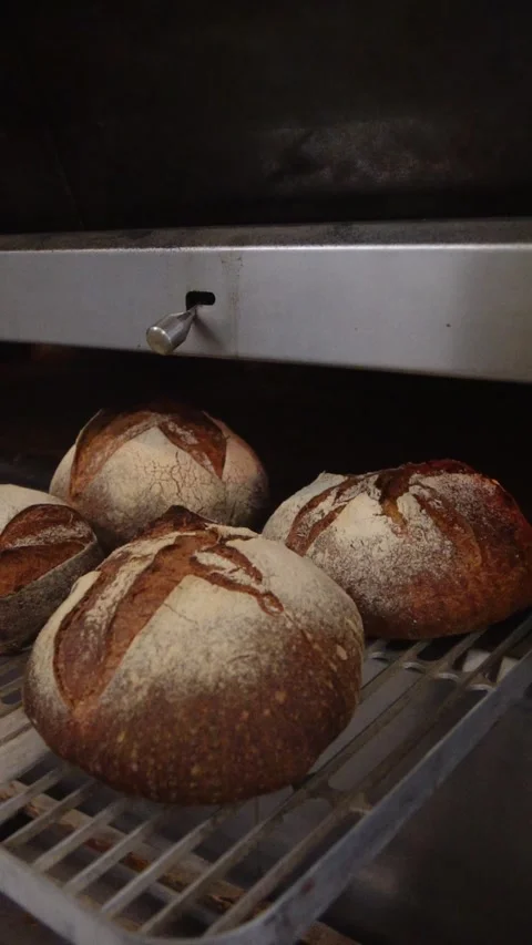 Baker takes freshly baked bread out of the oven. Stock Footage 306006709