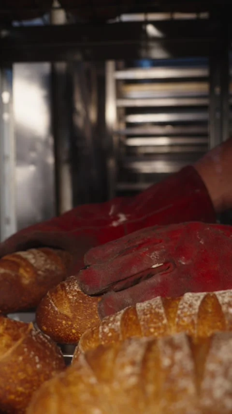 Baker Transferring Freshly Baked Bread from a Wooden Peel Video stock 345496165
