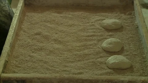 Bakeries in Egypt Video stock 261296003