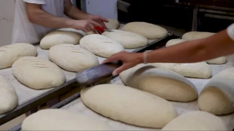 Bakers Preparing Loaf Dough: Brushing and Scoring on the Worktable Stock Footage 284557137