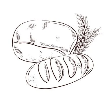 Bakery background. Linear graphic. Bread and pastry collection. Bread house Stock Illustration