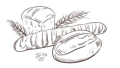 Bakery background. Linear graphic. Bread, baguette and pastry collection. Bread Stock Illustration