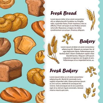 Bakery, cafe menu, flyer template with vector bread and loaf Stock Illustration
