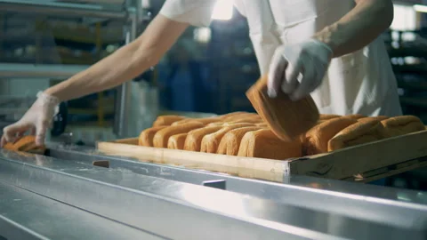 Bakery packing line. Worker put bun, loafs on conveyor. Stock Footage 85898943