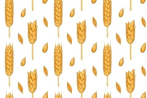 Bakery pattern. Wheat ears. Farm corn. Harvest from field or farming land. Ba イラスト素材