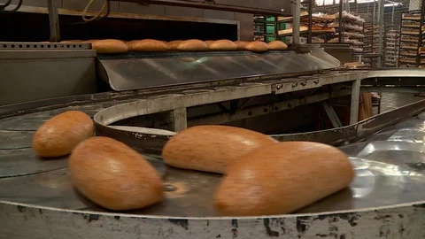 Bakery. Production of bread. Conveyor. Dough. Pastries. 스톡 동영상 88381157