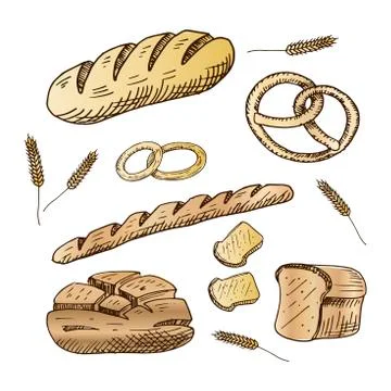 Bakery set. Collection of hand drawn bread products. Vector illustration. Iso Stock Illustration