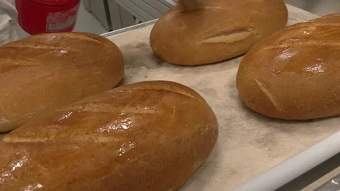 Bakery Worker Brushing Glaze onto Fresh Bread Loaves Stock Footage 346472294