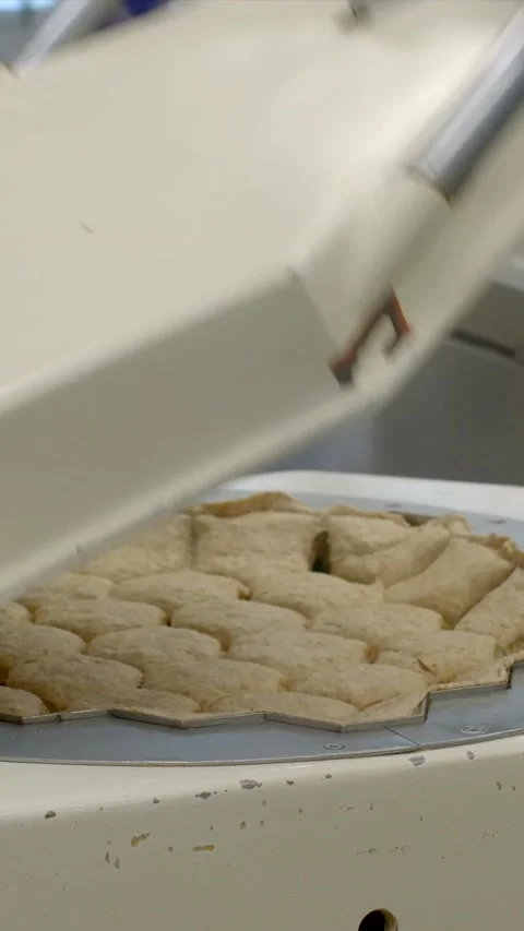 Bakery worker hand pressing raw dough on industrial support pad inside, with Stock Footage 344574570