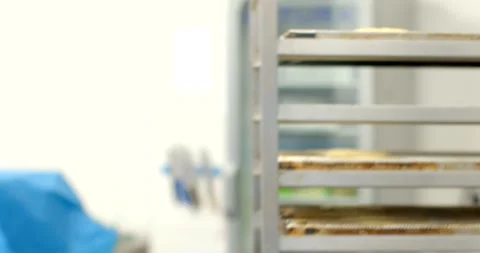 Bakery worker placing tray of raw loaves onto stainless rack in production bread Stock Footage 344597904