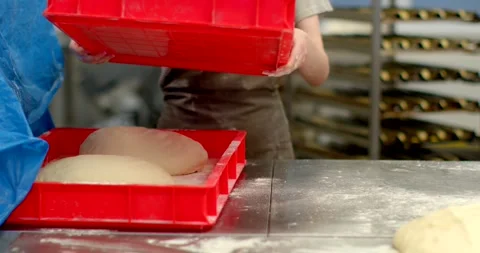 Bakery worker transferring red proofing tray over dough loaves on floured Stock Footage 344582566