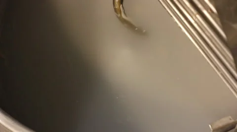 Baking bread add yeast Stock-Footage 54518340