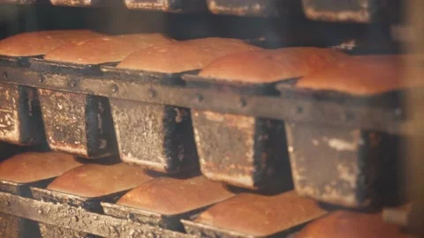 Baking bread in a bakery, at a bakery. Bread in baking molds rotates inside the Stock Footage 235830699