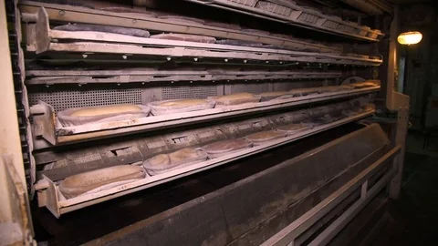 Baking bread at the factory Video stock 80955849