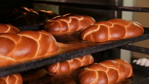 Baking bread. Fresh buns from the oven. Transportation of baking. Stock Footage 74593496