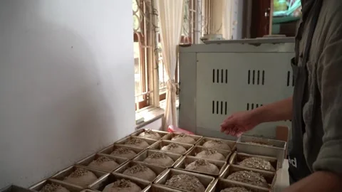 Baking Bread at Home: Simple and Delicious Recipes 動画素材 237430676