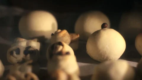 Baking Bread in the Oven Stock Footage 331921068