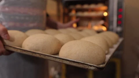 Baking buns in an electric oven. A tray placed inside the electric oven Stock Footage 231339235